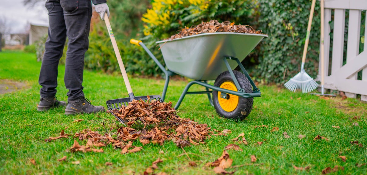 Tips tuin herfstklaar
