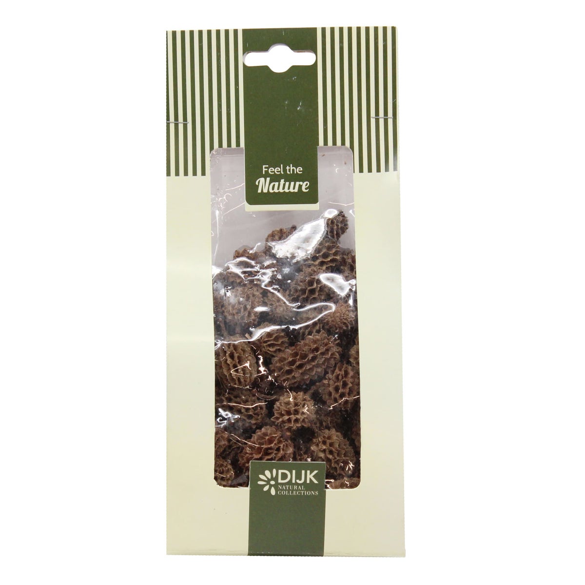 Casuarina naturel 100g Casuarina naturel 100g