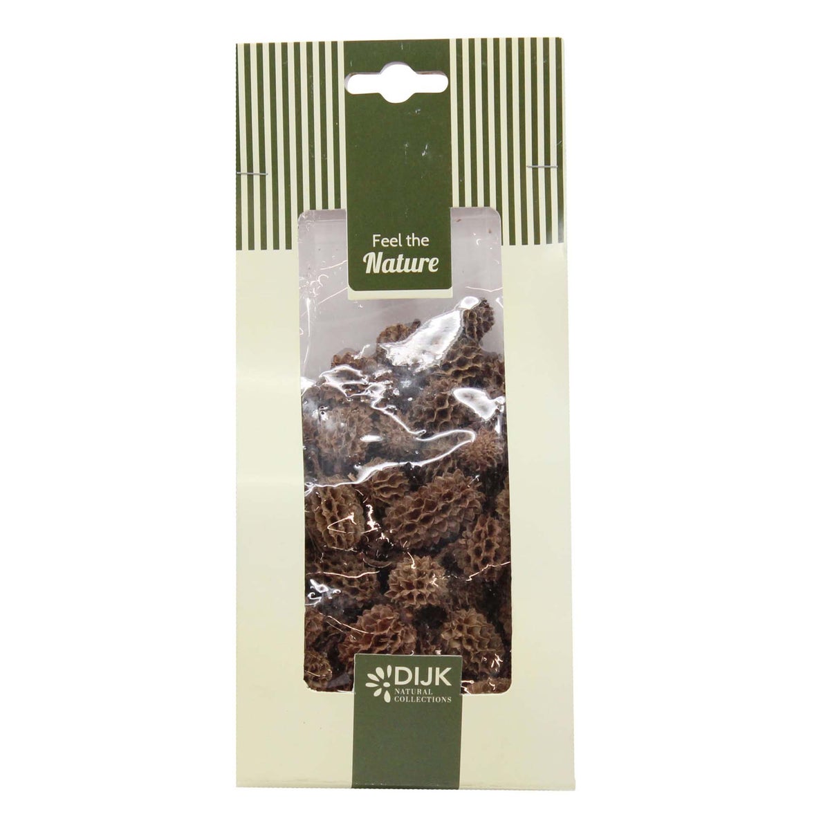 Casuarina naturel 100g Casuarina naturel 100g