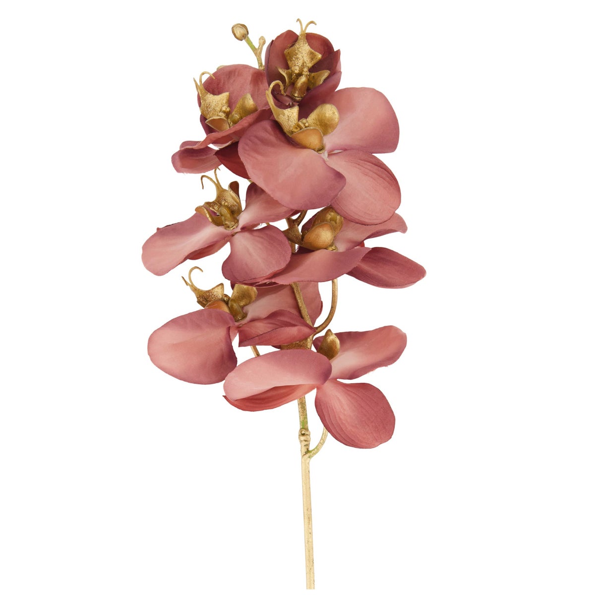 Tak orchidee 60 cm paars Tak orchidee 60 cm paars