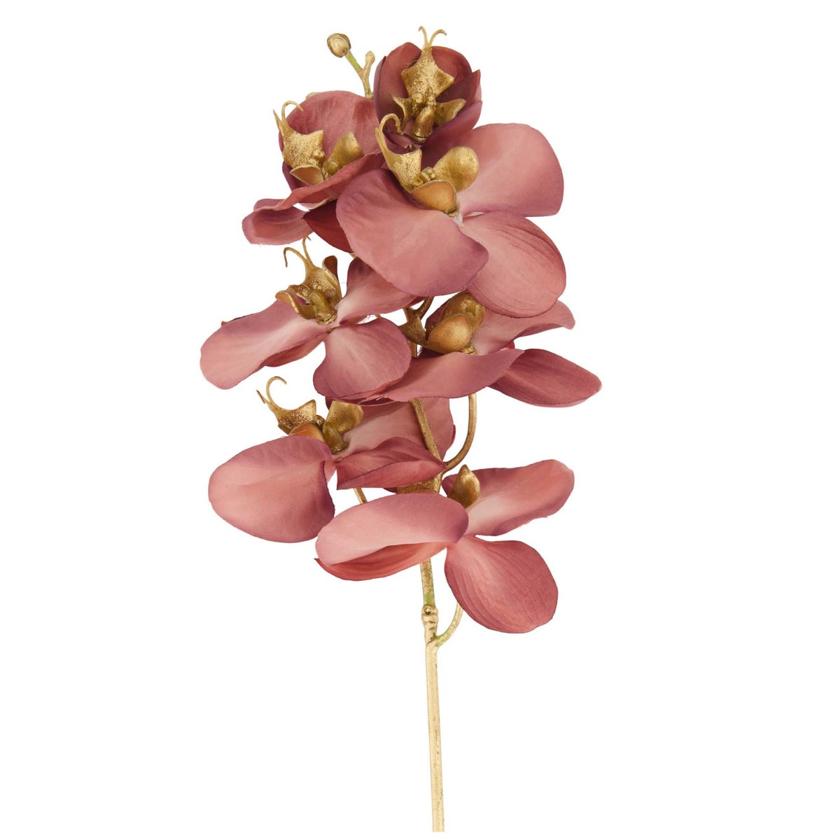 Tak orchidee 60 cm paars Tak orchidee 60 cm paars