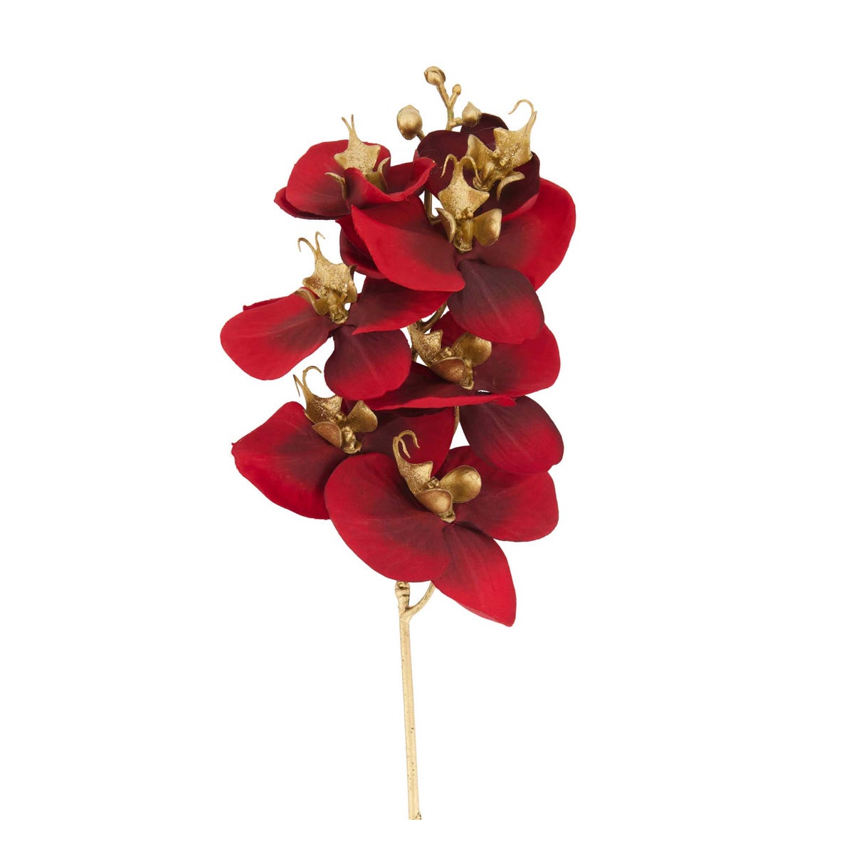 Tak orchidee 60 cm burgundy Tak orchidee 60 cm burgundy