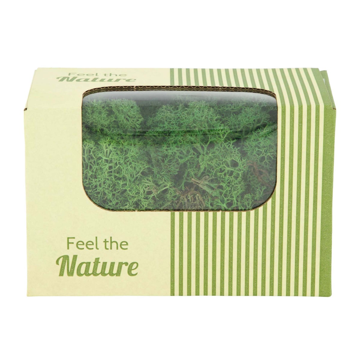 Rendiermos mosgroen 50g Rendiermos mosgroen 50g