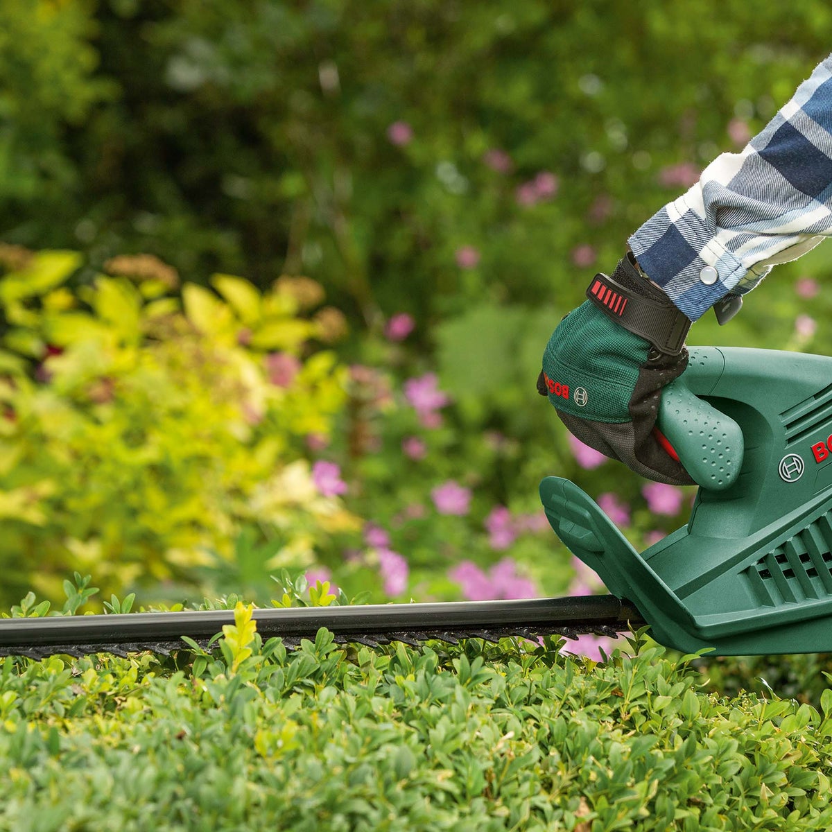 Heggenschaar easyhedgecut 45 bosch Heggenschaar easyhedgecut 45 bosch