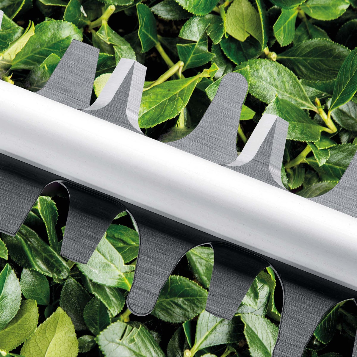 Heggenschaar easyhedgecut 45 bosch Heggenschaar easyhedgecut 45 bosch