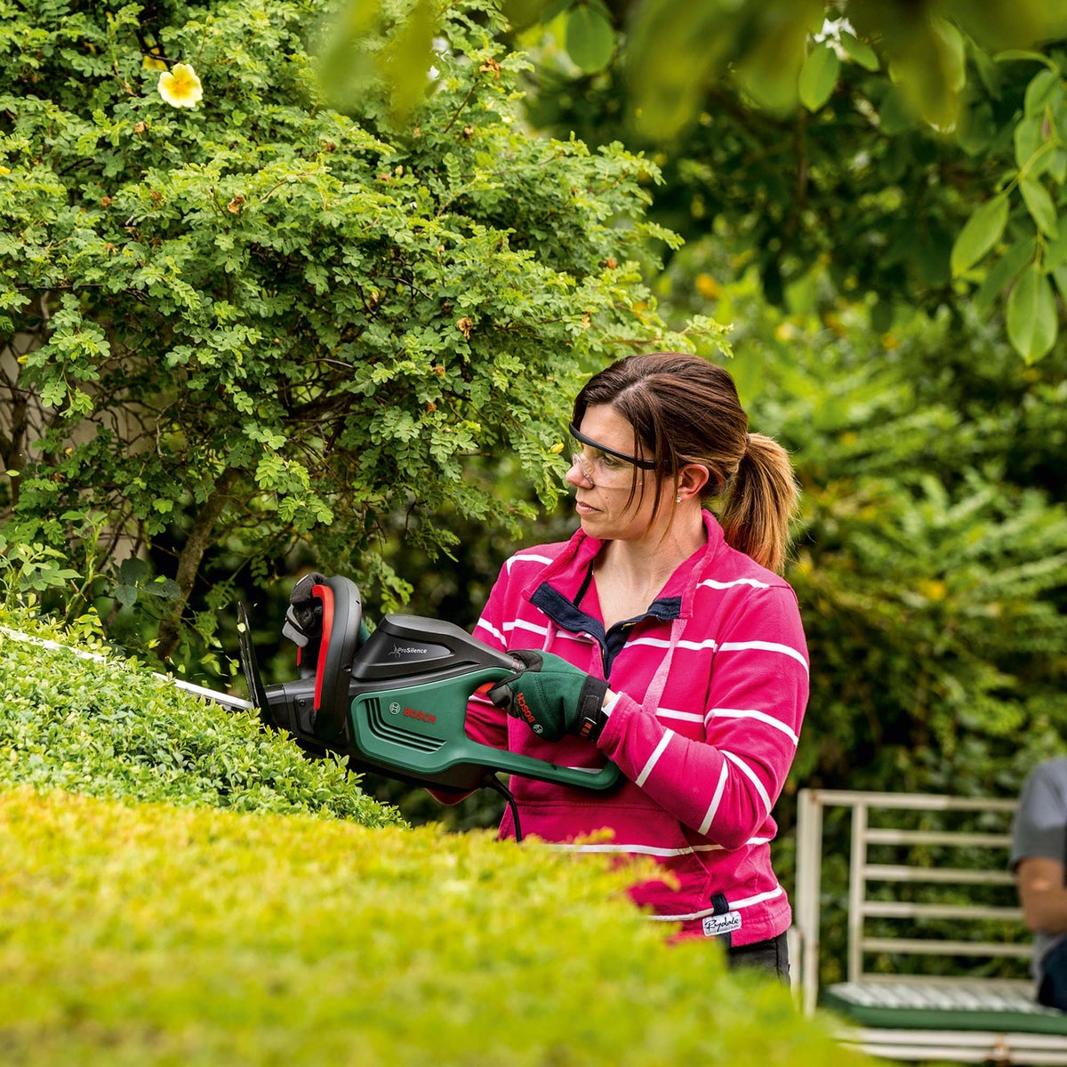 Heggenschaar AdvancedHedgeCut 65 V2 bosch Heggenschaar AdvancedHedgeCut 65 V2 bosch