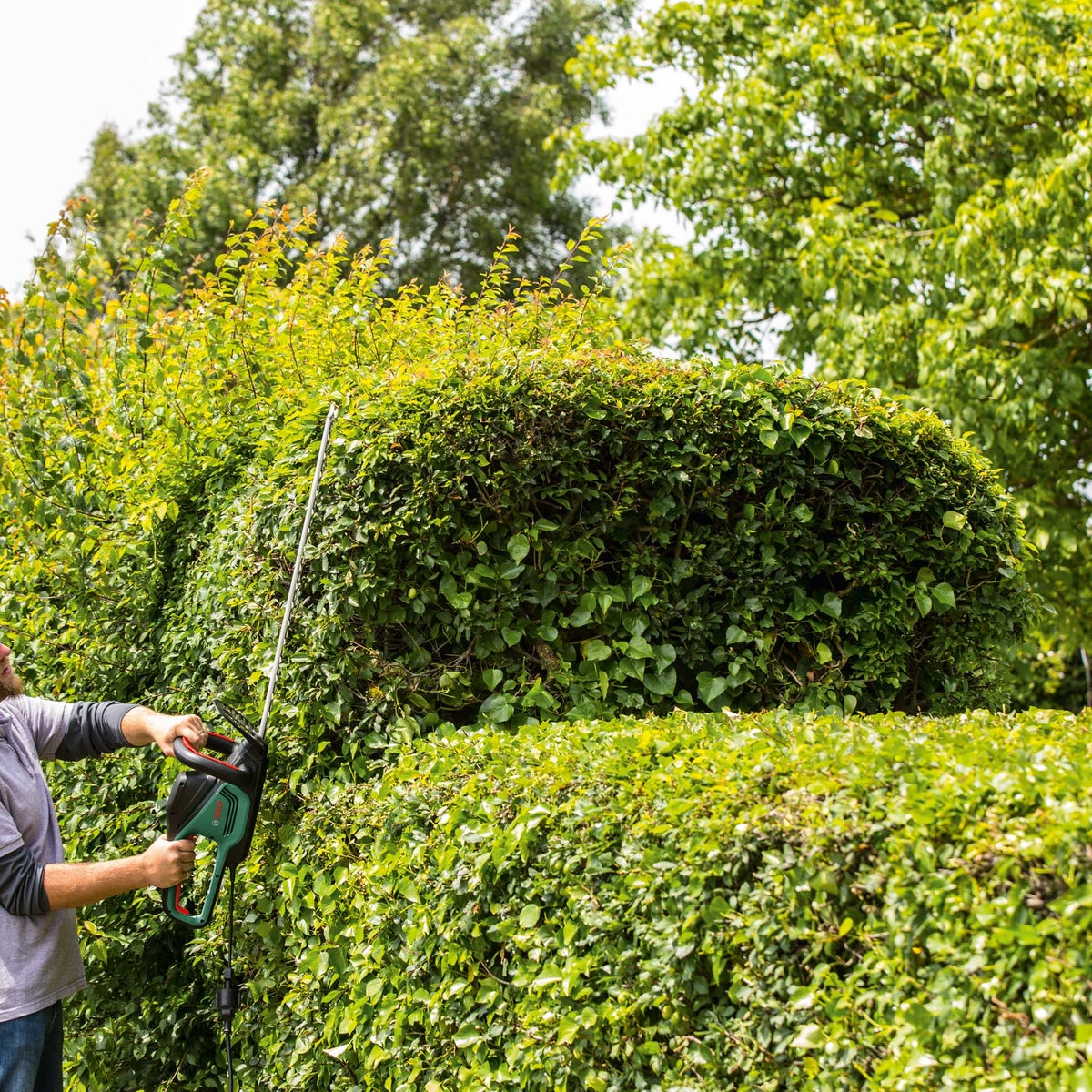 Heggenschaar AdvancedHedgeCut 70 new bosch Heggenschaar AdvancedHedgeCut 70 new bosch