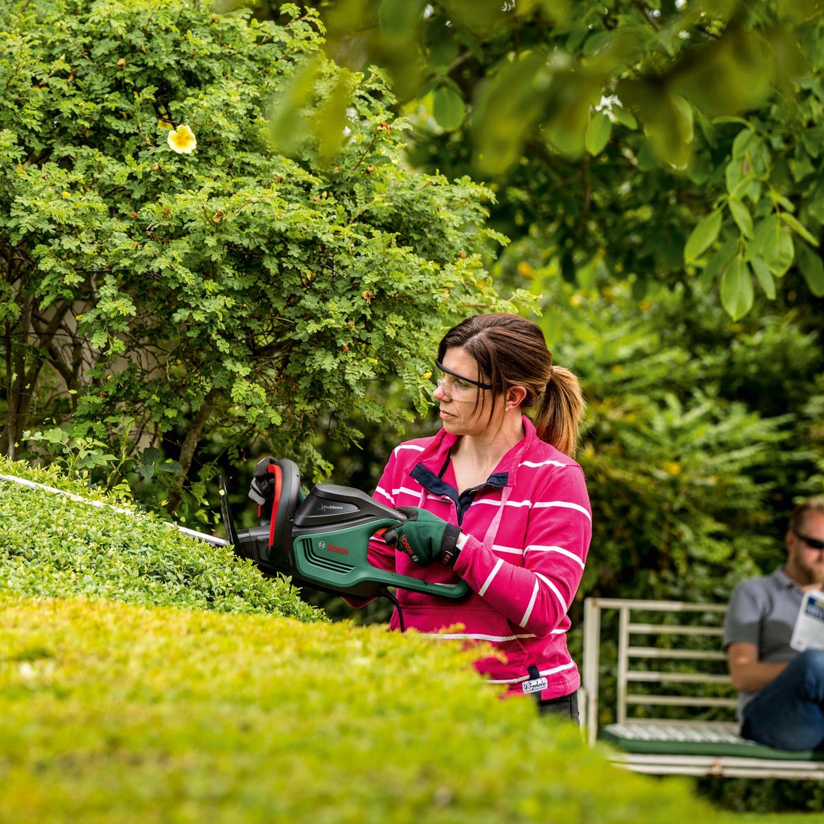 Heggenschaar AdvancedHedgeCut 70 new bosch Heggenschaar AdvancedHedgeCut 70 new bosch