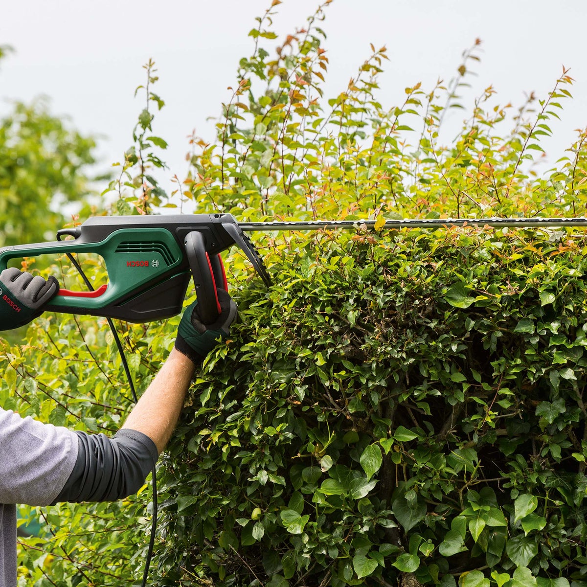 Heggenschaar AdvancedHedgeCut 70 new bosch Heggenschaar AdvancedHedgeCut 70 new bosch