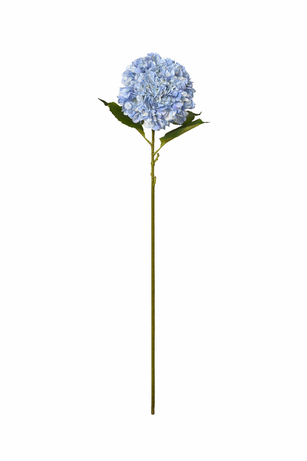 Tak hortensia blauw 106 cm Tak hortensia blauw 106 cm