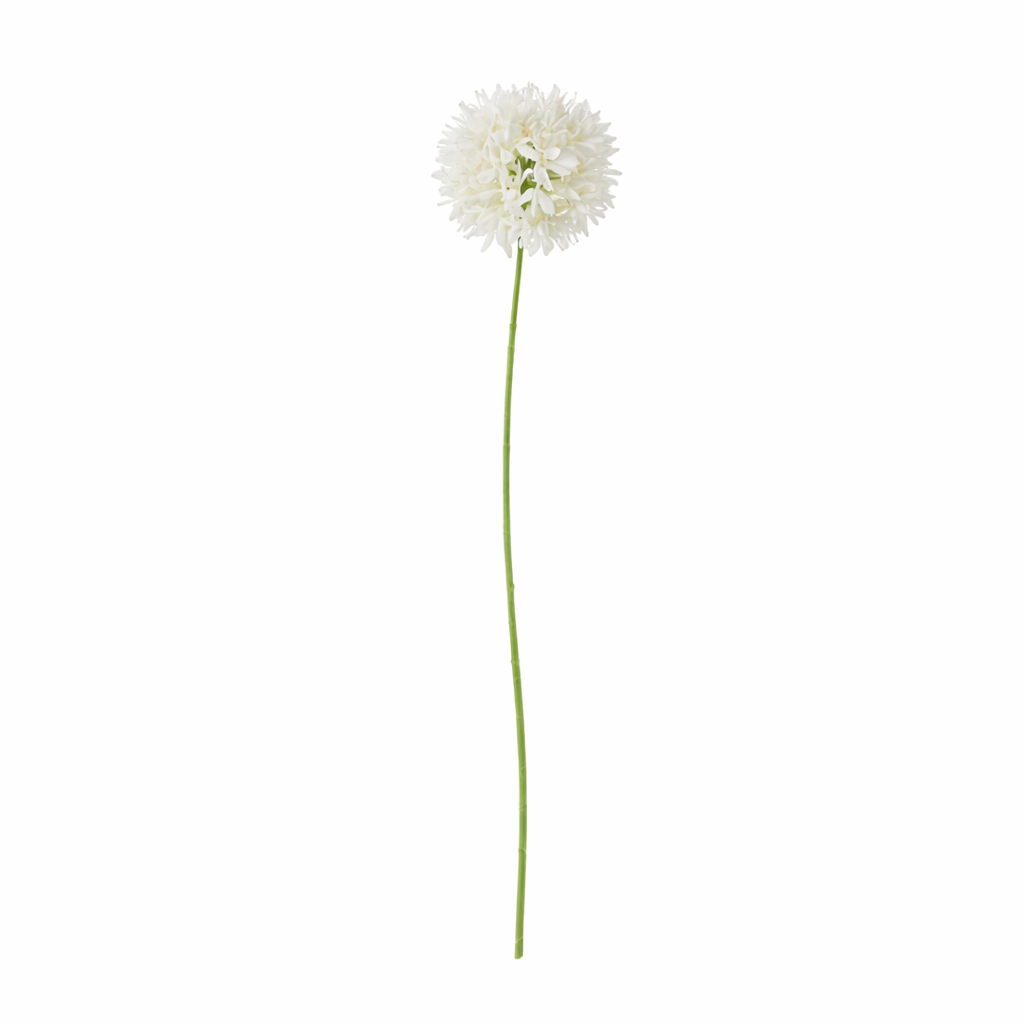 Tak petrea wit 75 cm Tak petrea wit 75 cm