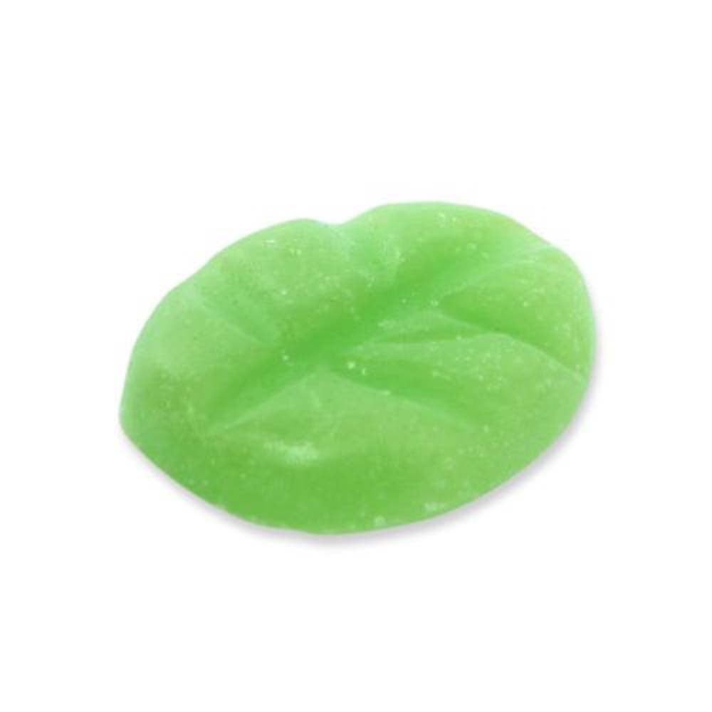 Scentchips citronella 8 stuks Scentchips citronella 8 stuks