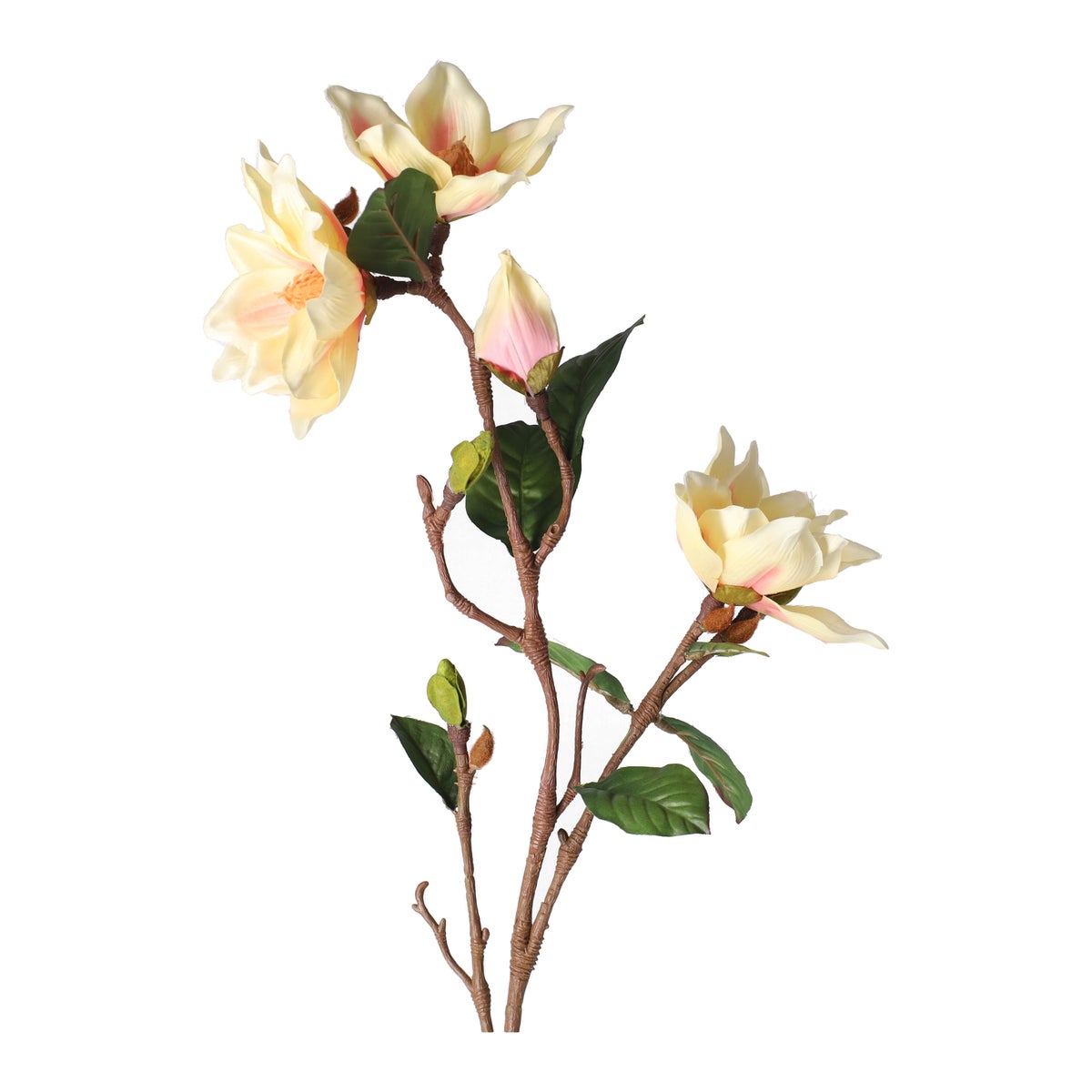 Tak Yulan 103 cm beige Tak Yulan 103 cm beige