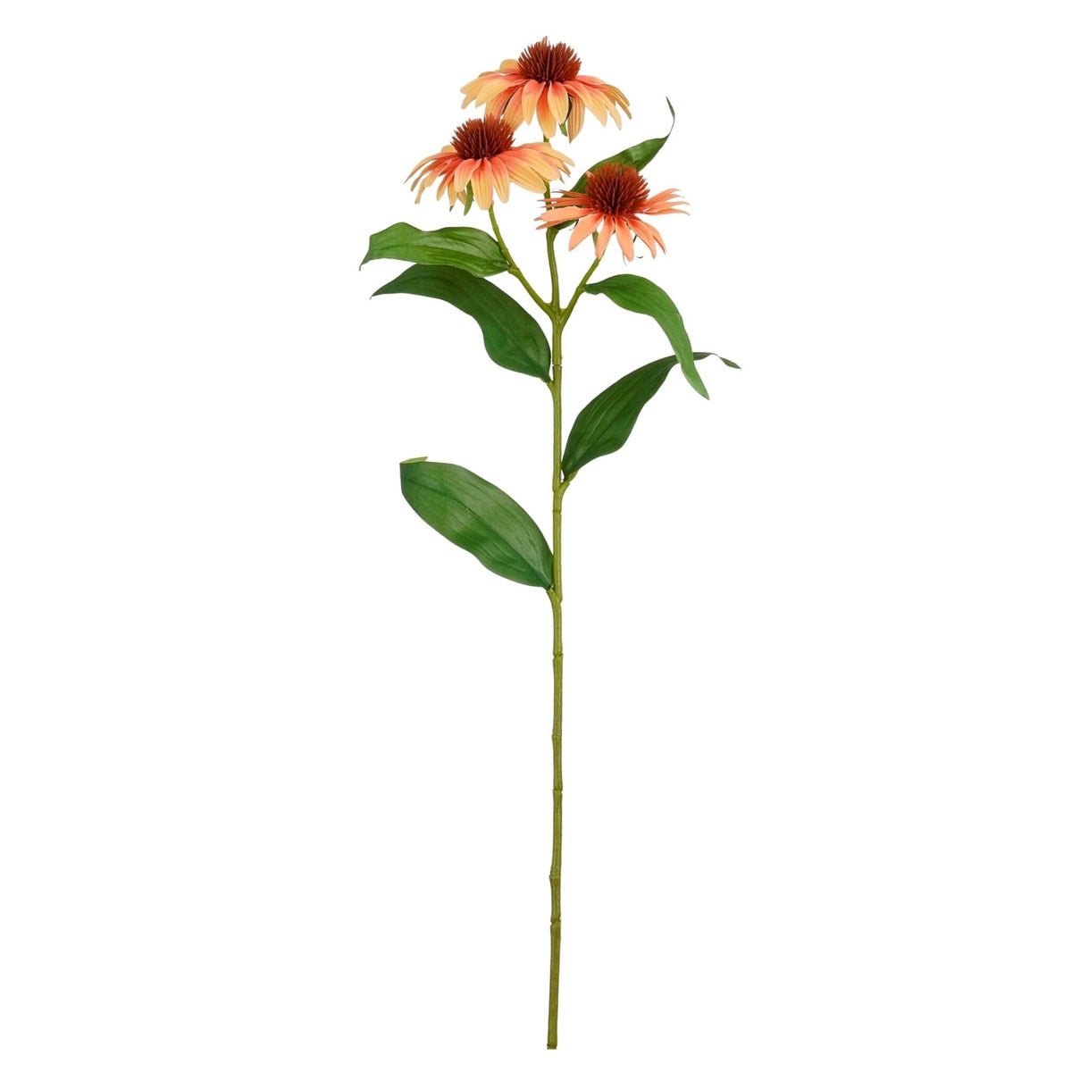 Tak Echinacea zalm 62 cm Tak Echinacea zalm 62 cm