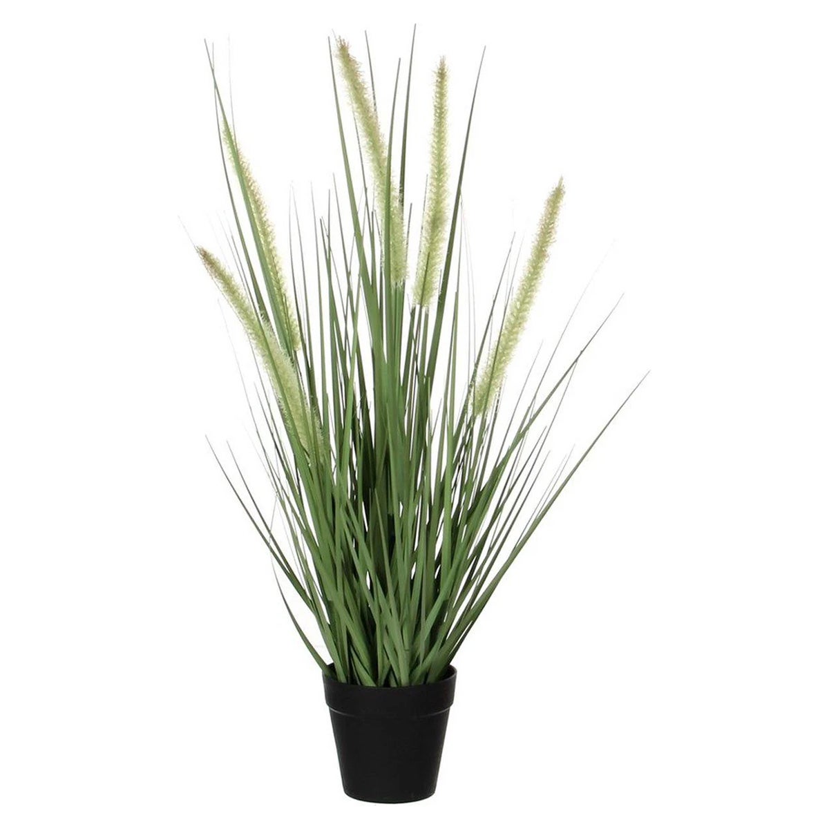 Gras dogtail groen 53 cm Gras dogtail groen 53 cm