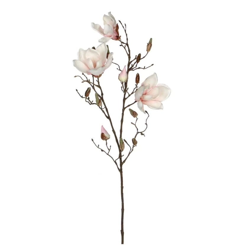 Tak Magnolia lichtroze 88 cm Tak Magnolia lichtroze 88 cm