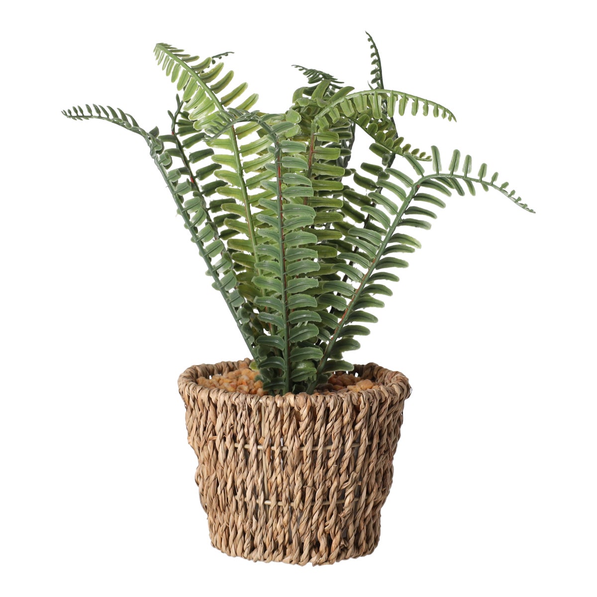 Varen in mand groen 26 x 10 cm Varen in mand groen 26 x 10 cm