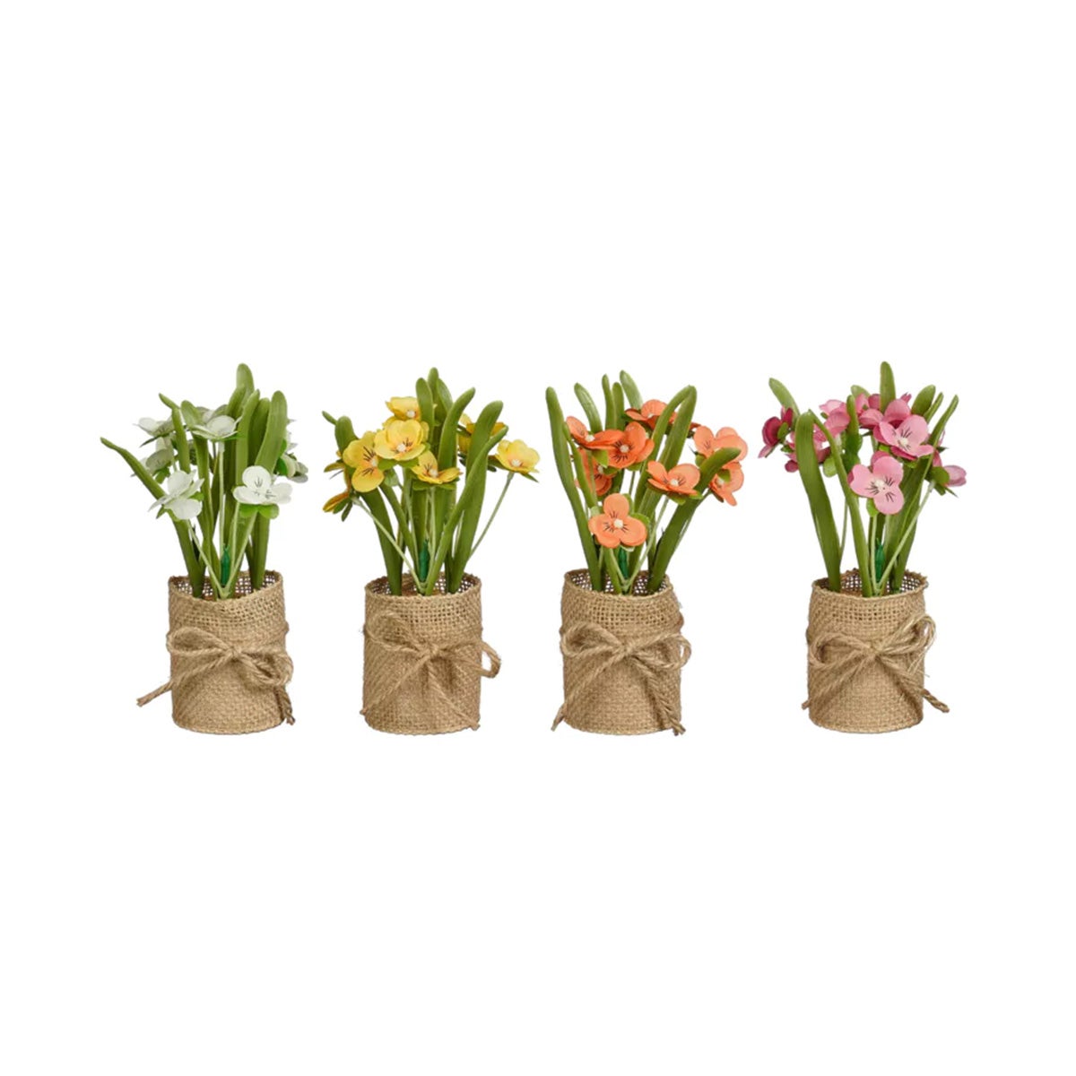 Viooltje in pot 15 cm Viooltje in pot 15 cm