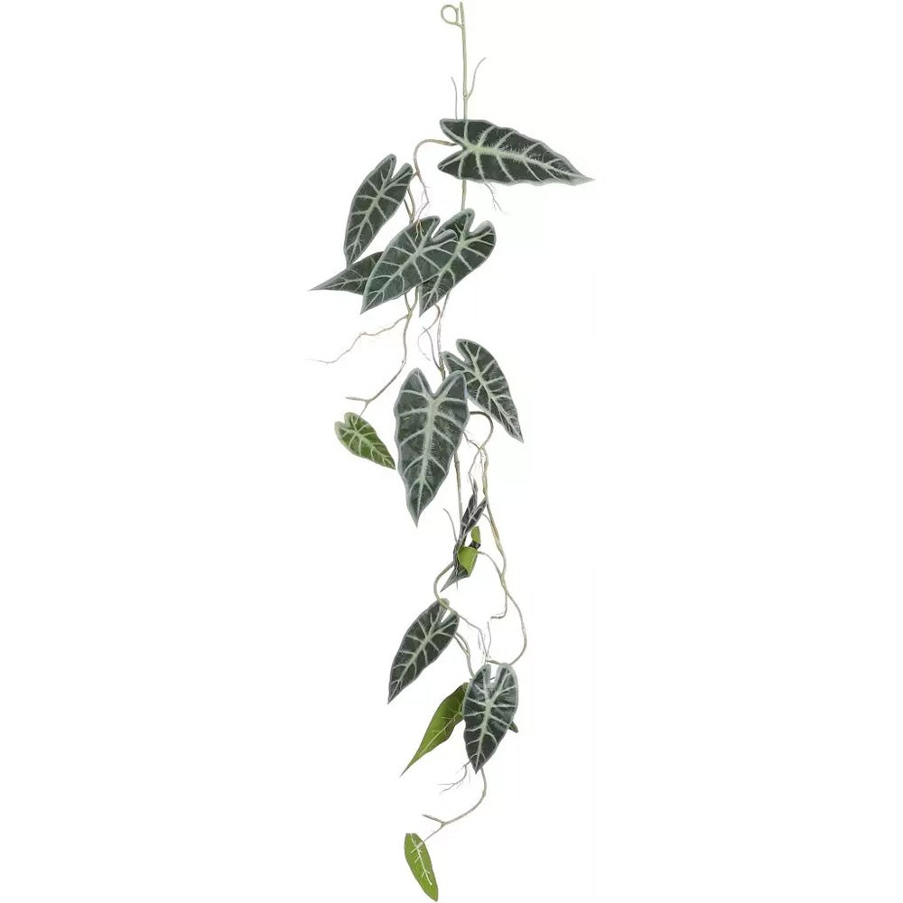 Alocasia hangend groen 115 cm Alocasia hangend groen 115 cm
