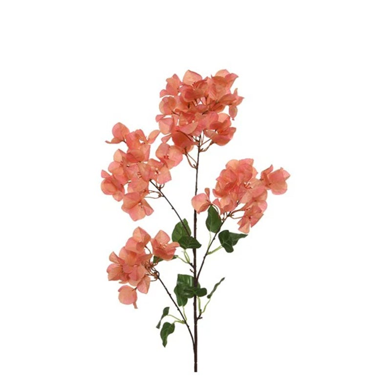 Bougainville oranje 100cm Bougainville oranje 100cm