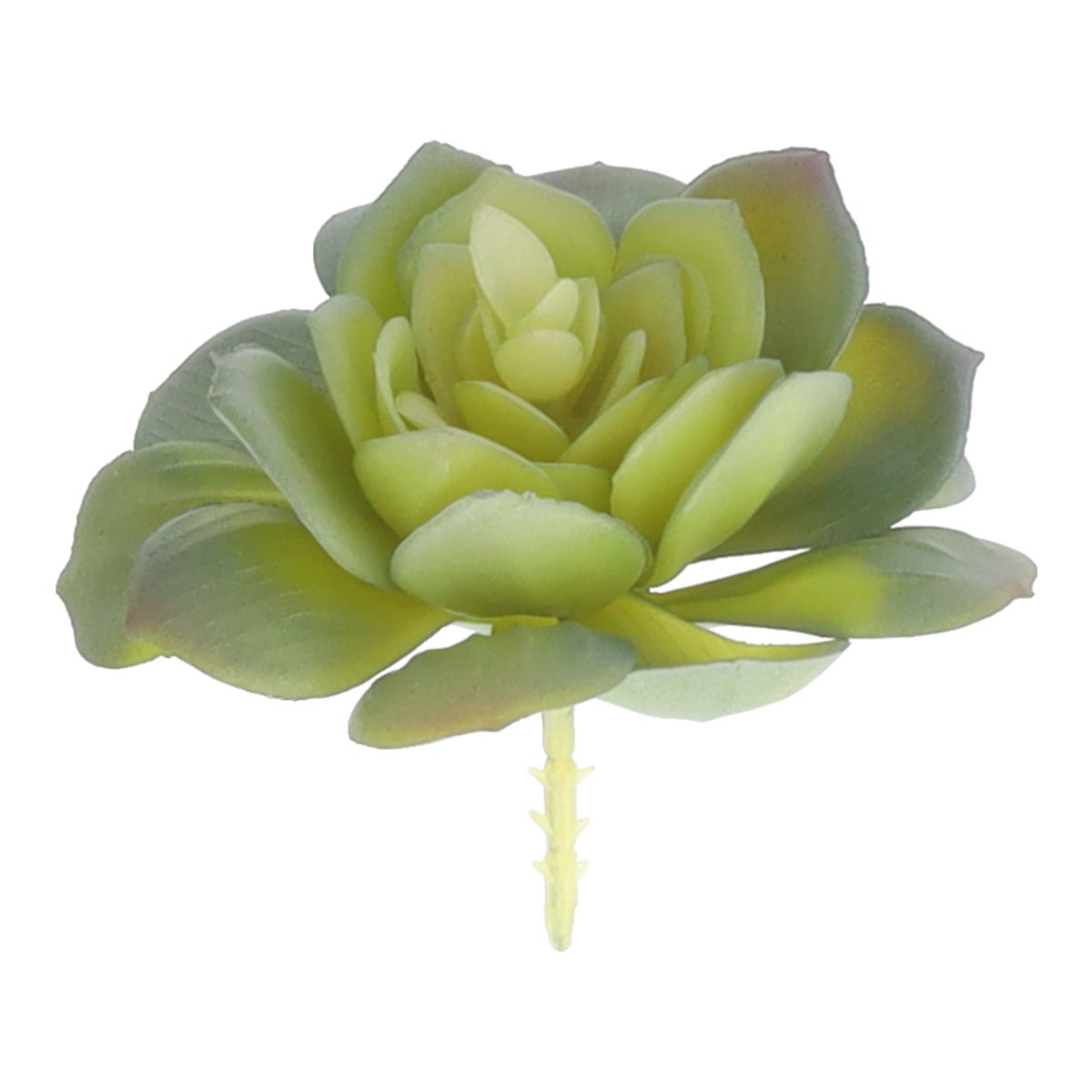 Vetplant op stok 10 cm Vetplant op stok 10 cm
