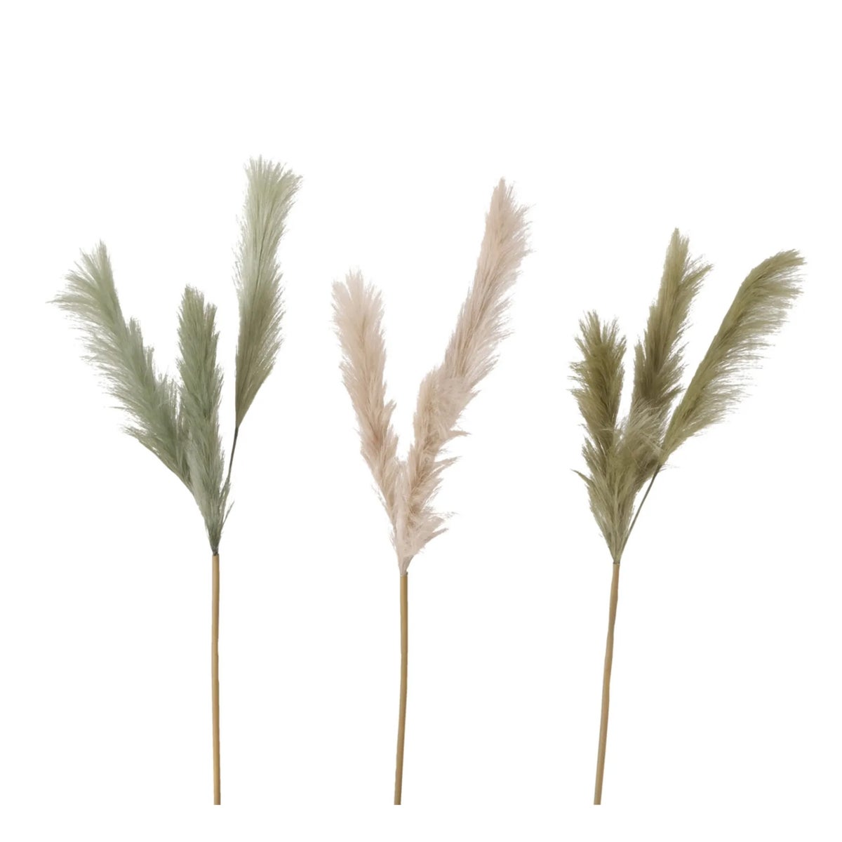 Tak Phragmites australis 110 cm Tak Phragmites australis 110 cm
