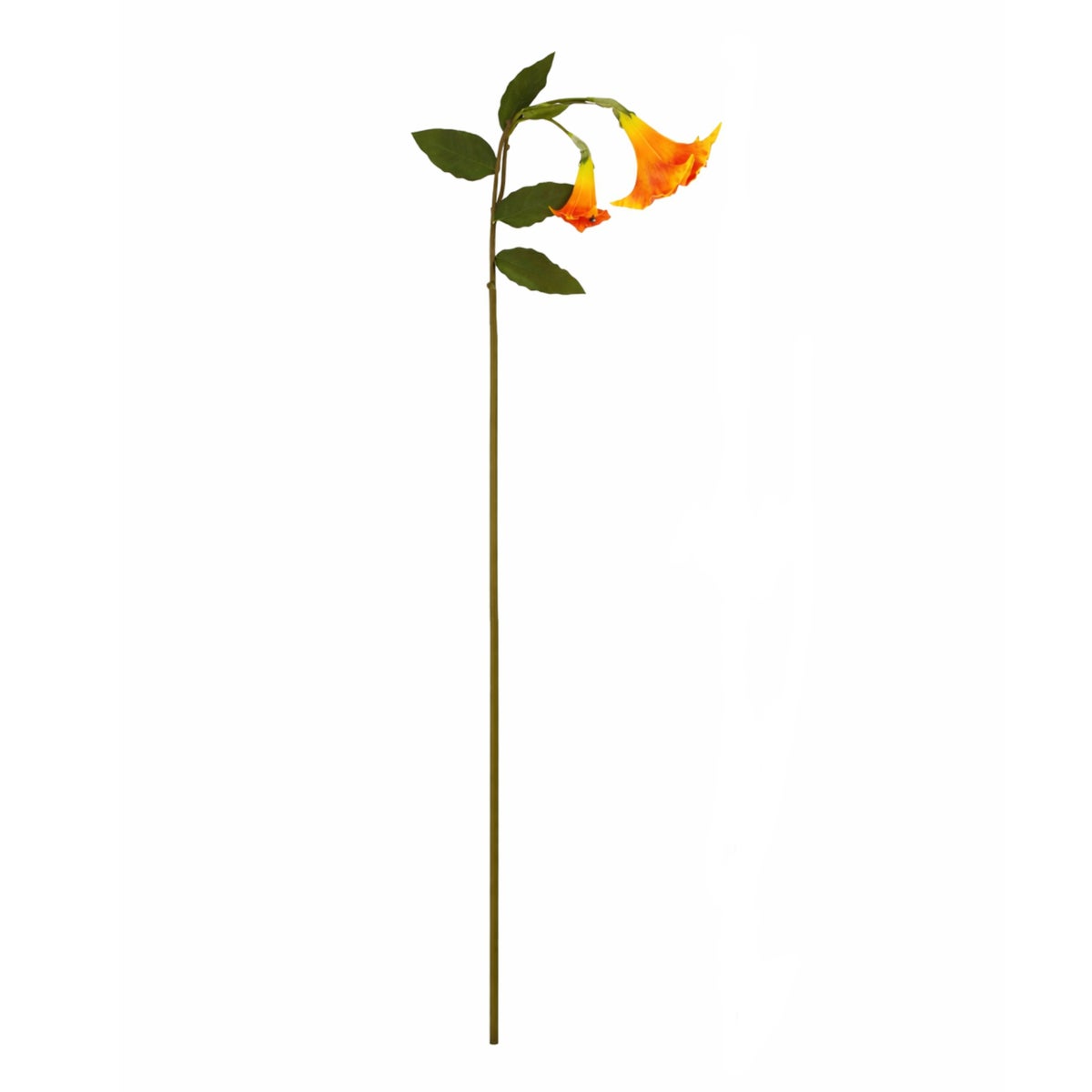 Tak Datura 129 cm oranje Tak Datura 129 cm oranje