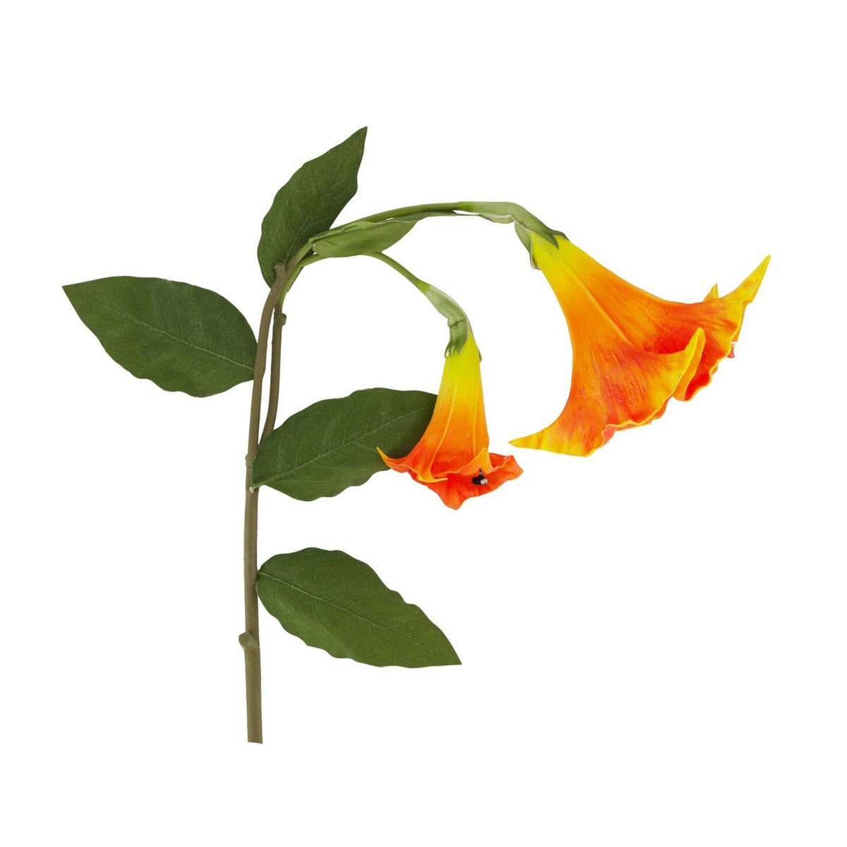 Tak Datura 129 cm oranje Tak Datura 129 cm oranje