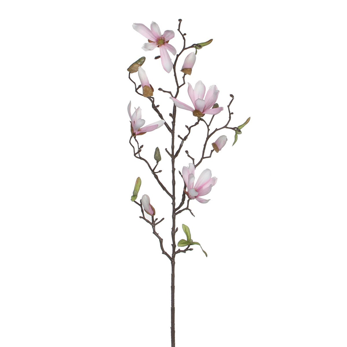 Tak Magnolia roze 75 cm Tak Magnolia roze 75 cm