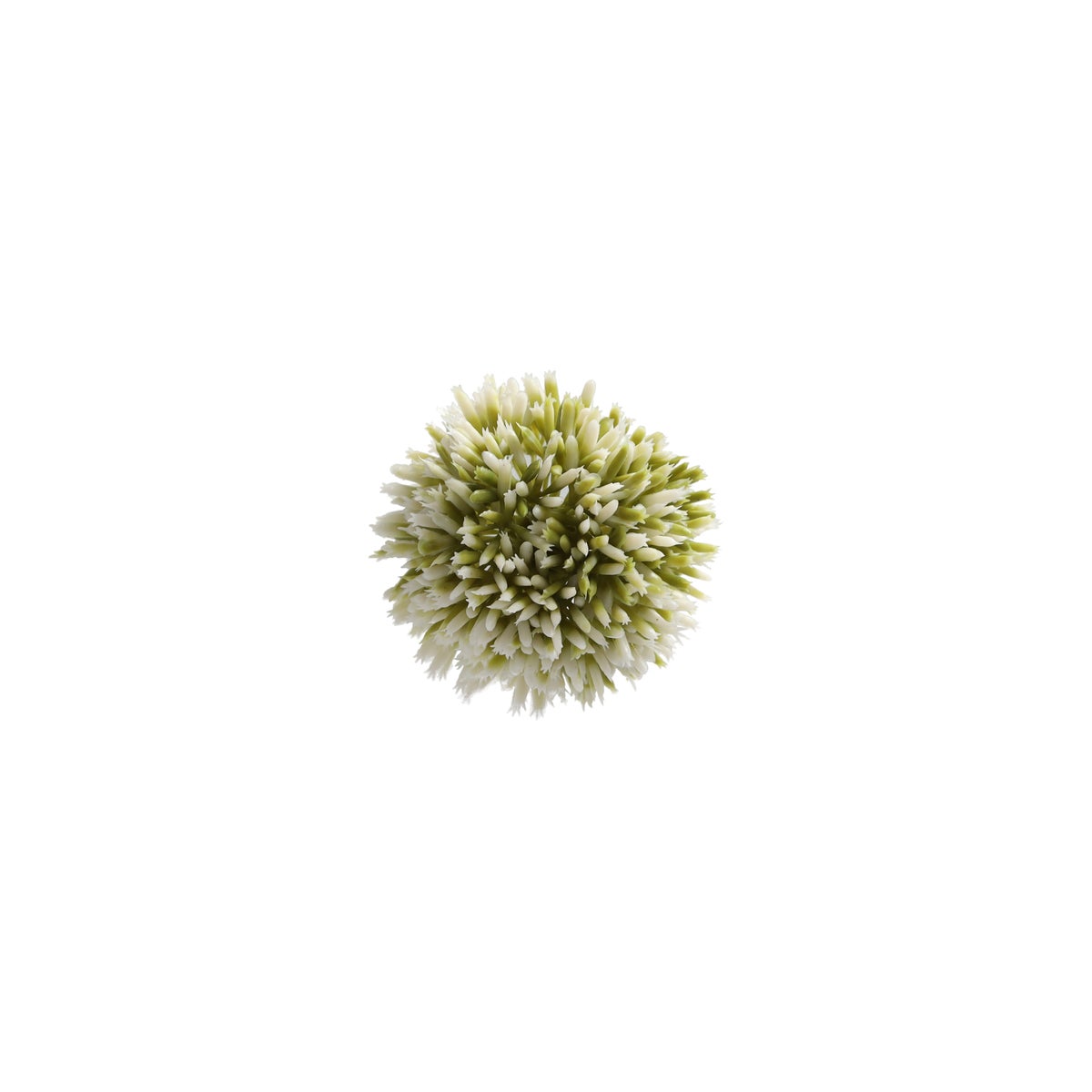 Sierui 55 cm groen Sierui 55 cm groen