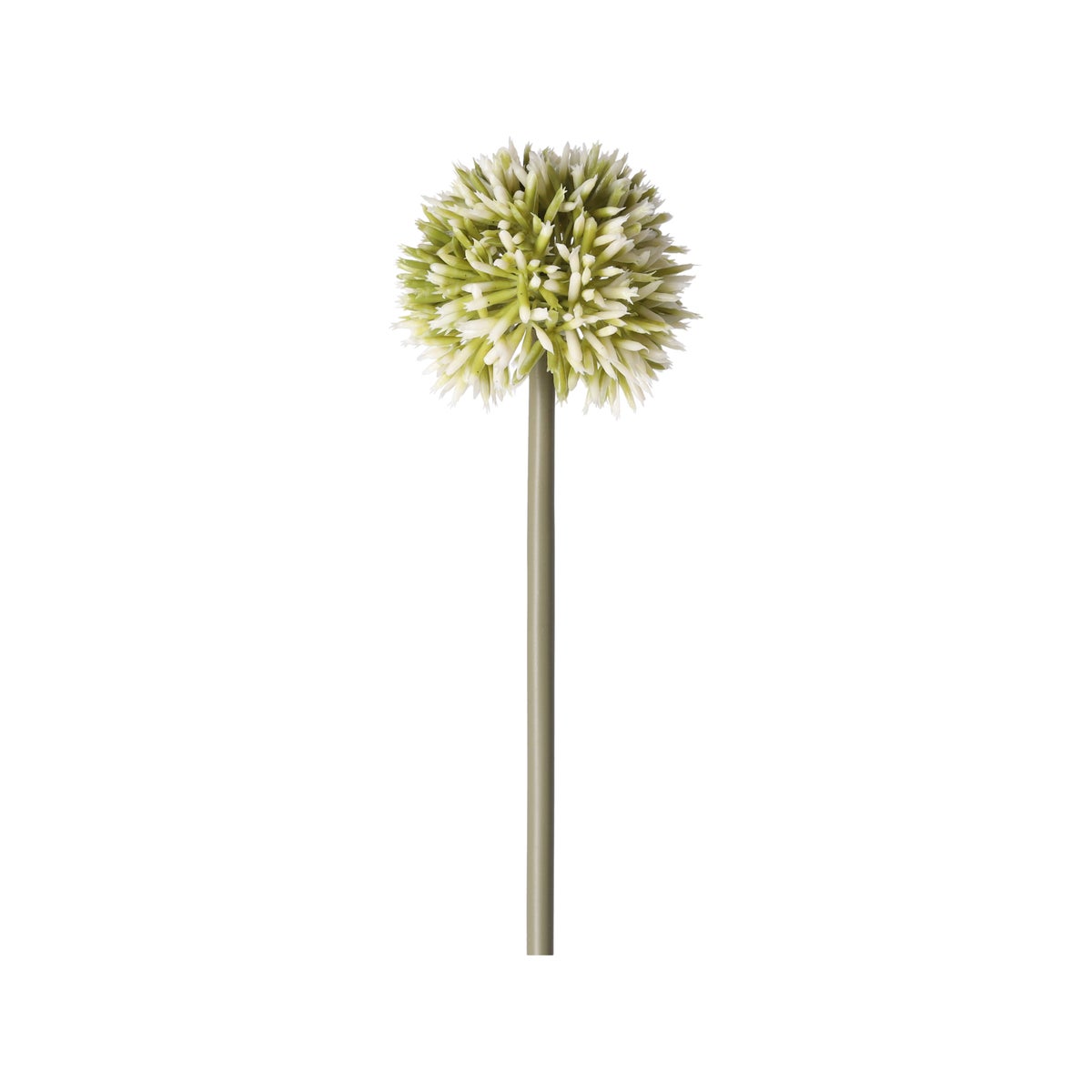 Sierui 55 cm groen Sierui 55 cm groen