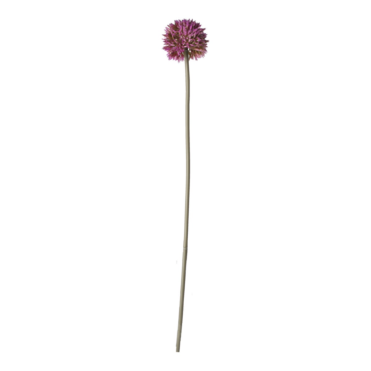Sierui 55 cm roze Sierui 55 cm roze