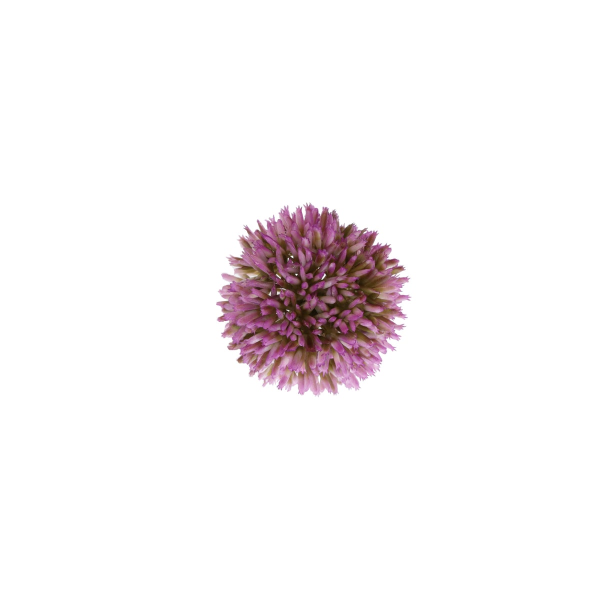 Sierui 55 cm roze Sierui 55 cm roze
