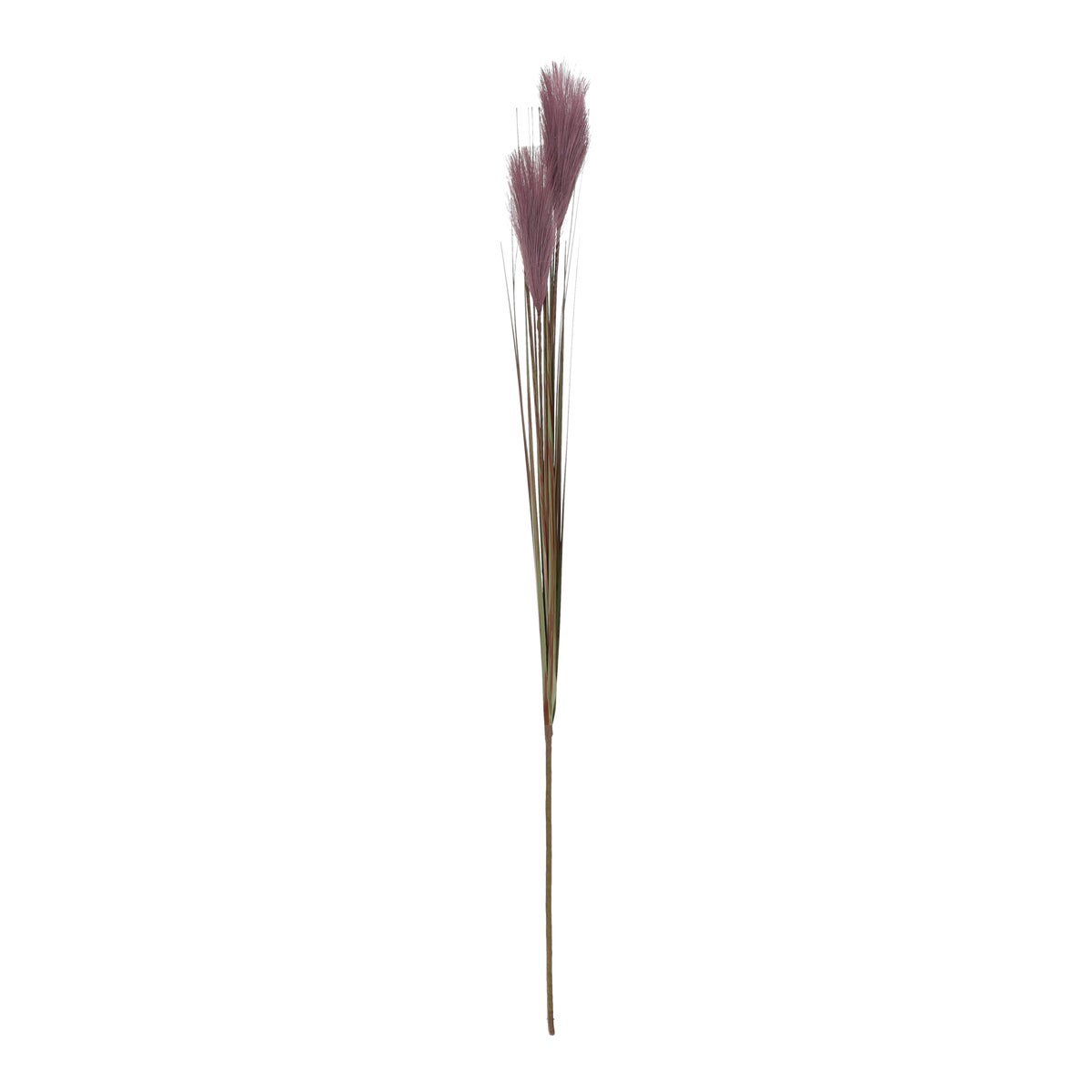 Graspluim 92 cm donkergroen Graspluim 92 cm donkergroen