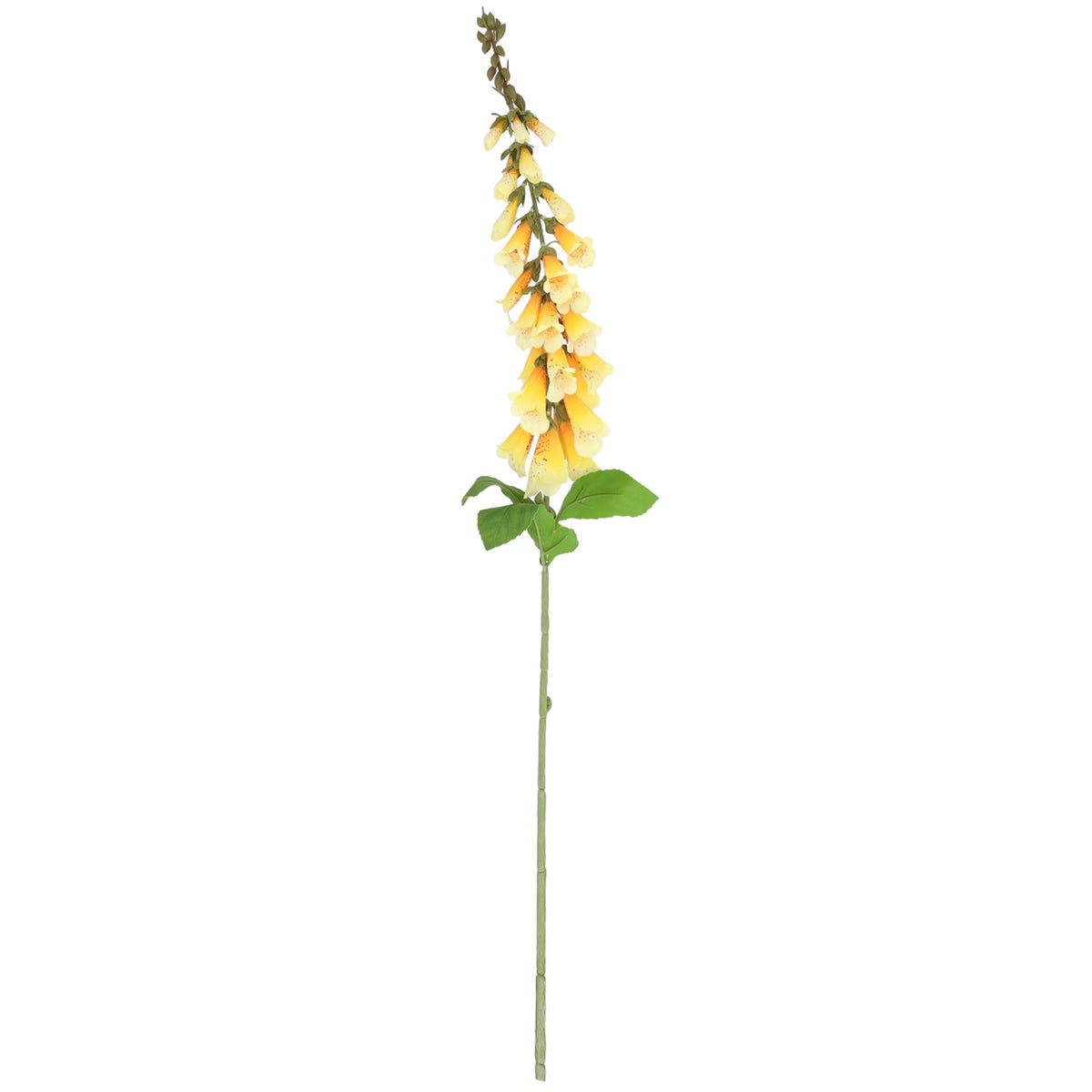 Tak digitalis geel 92 cm Tak digitalis geel 92 cm