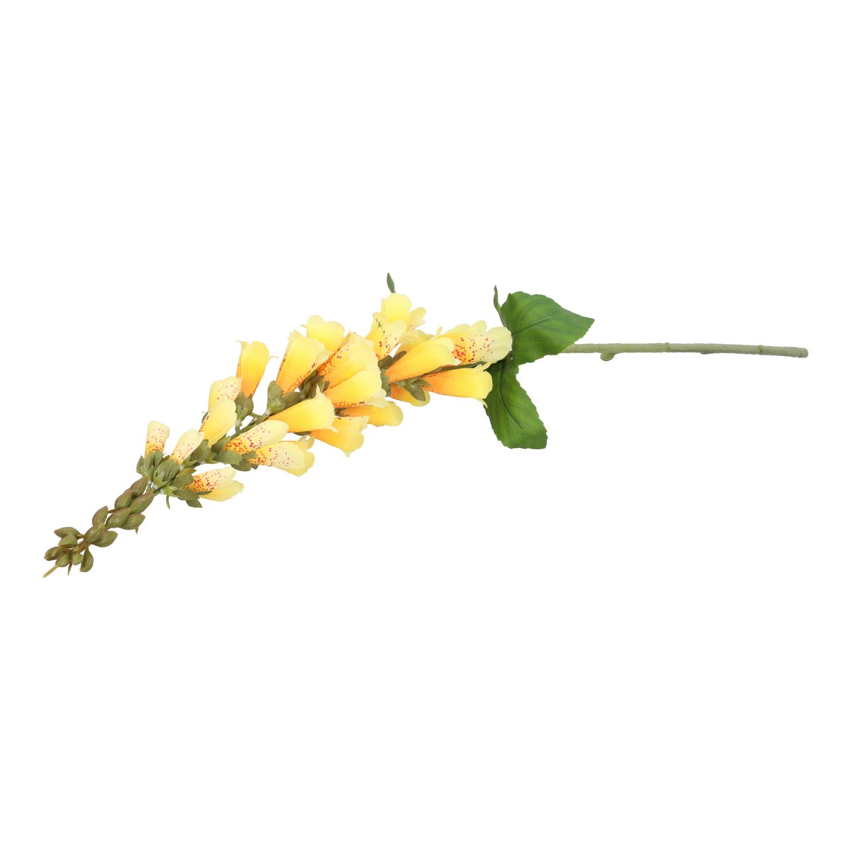 Tak digitalis geel 92 cm Tak digitalis geel 92 cm