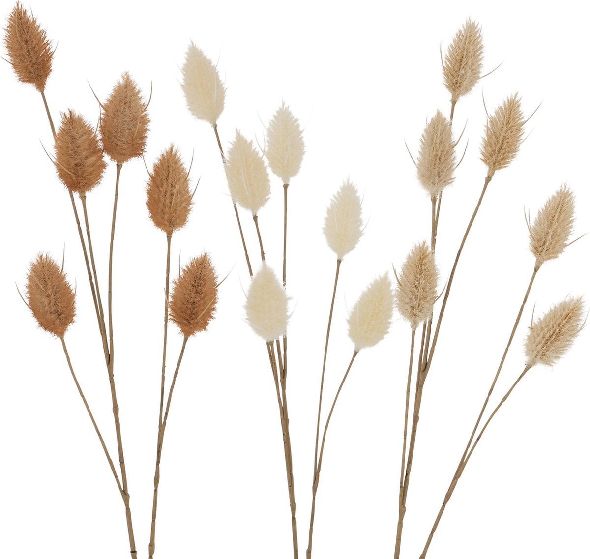 Tak Fluweelgras 72 cm 3 kleuren Tak Fluweelgras 72 cm 3 kleuren