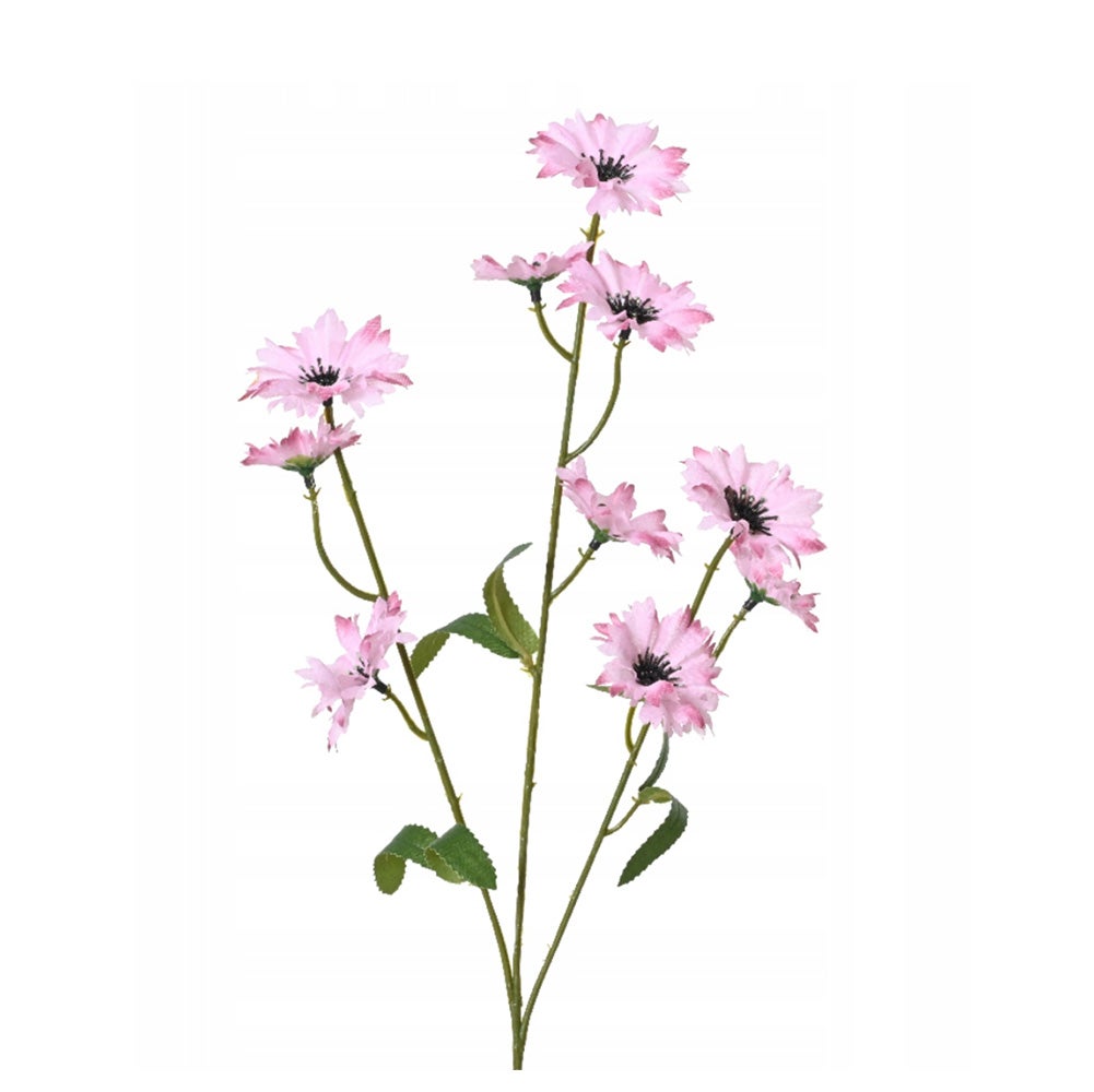 Korenbloem roze 55 cm Korenbloem roze 55 cm