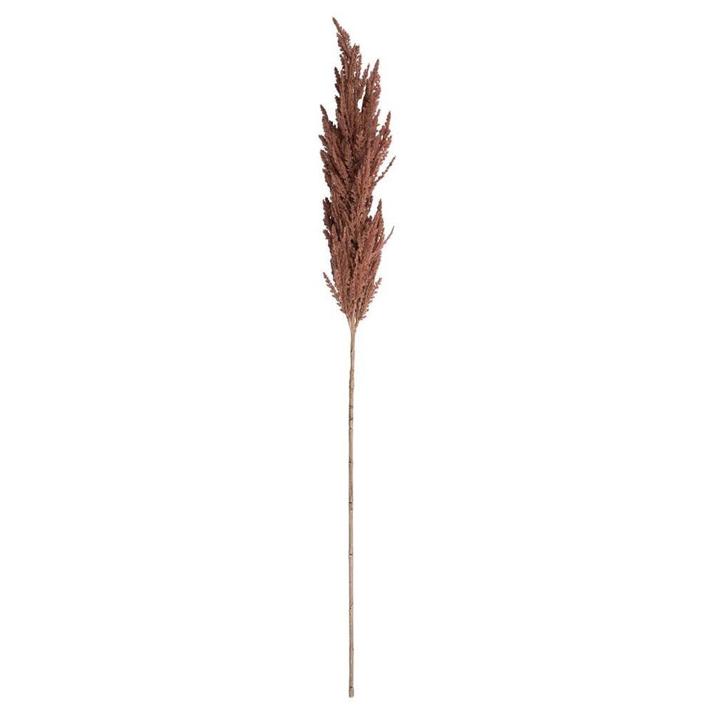 Tak pampasgras bruin 82cm Tak pampasgras bruin 82cm