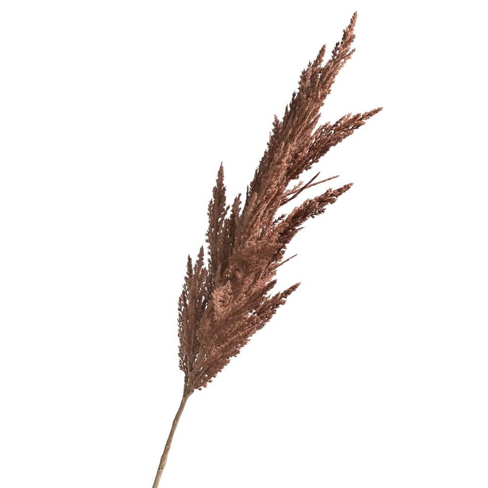 Tak pampasgras bruin 82 cm Tak pampasgras bruin 82 cm