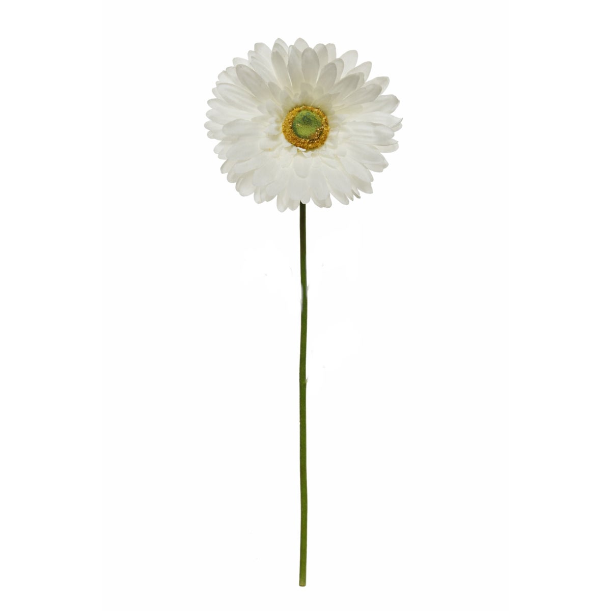 Gerbera wit 50 cm Gerbera wit 50 cm