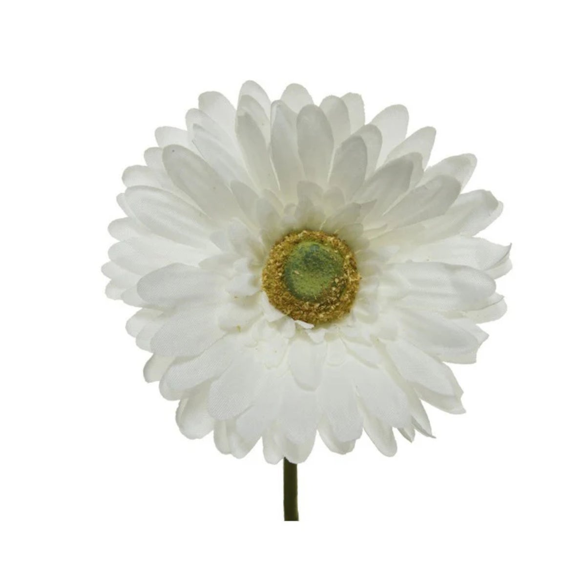Gerbera wit 50 cm Gerbera wit 50 cm