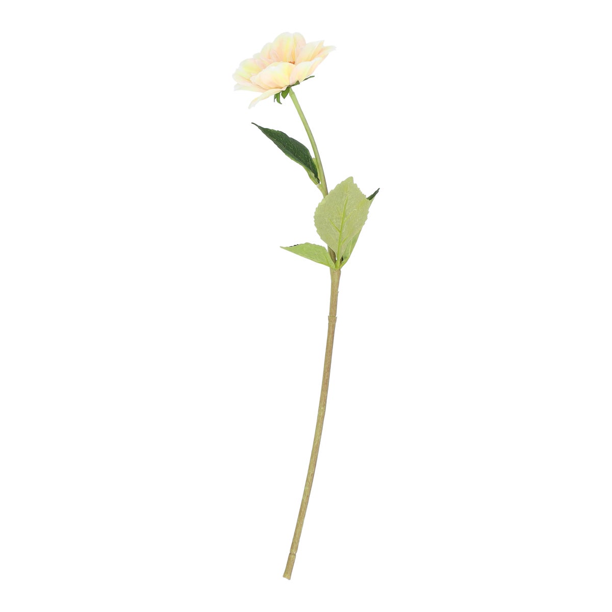 Tak dahlia bumble rumble geel 50 cm Tak dahlia bumble rumble geel 50 cm