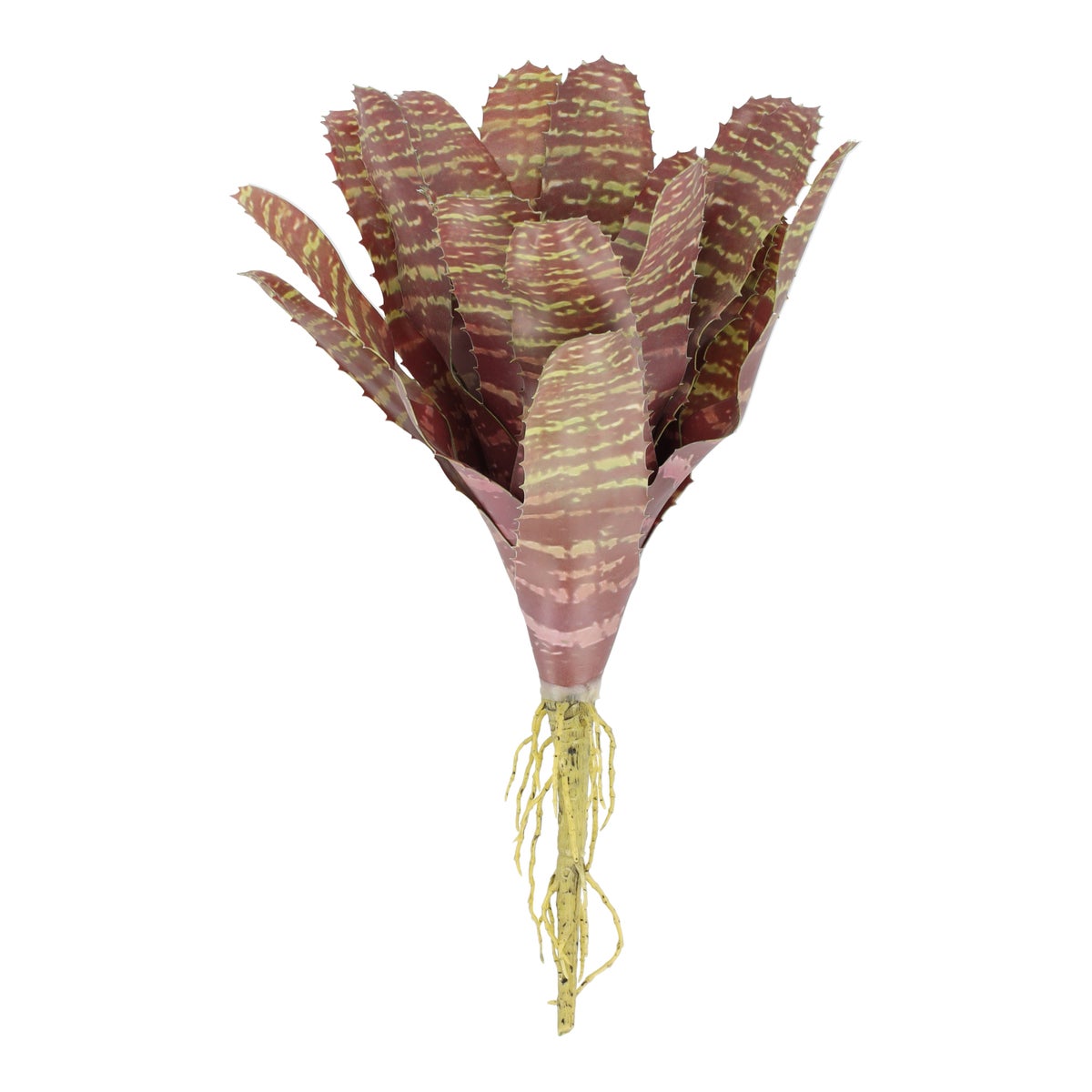 Vetplant met stok 26 cm Vetplant met stok 26 cm