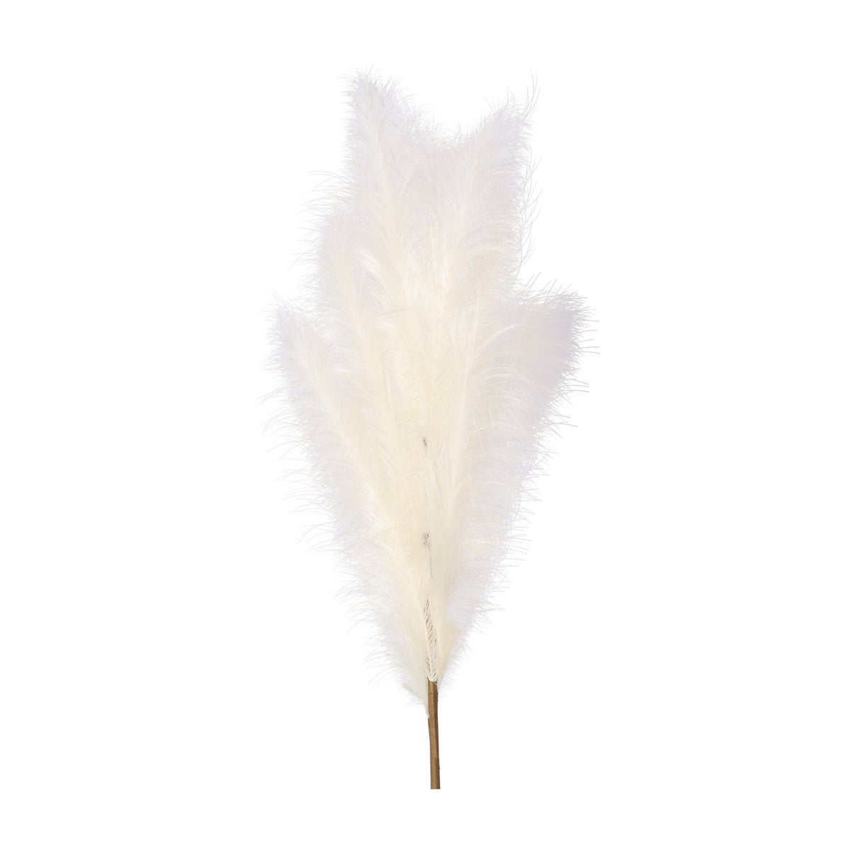 Tak gras 110 cm crème Tak gras 110 cm crème