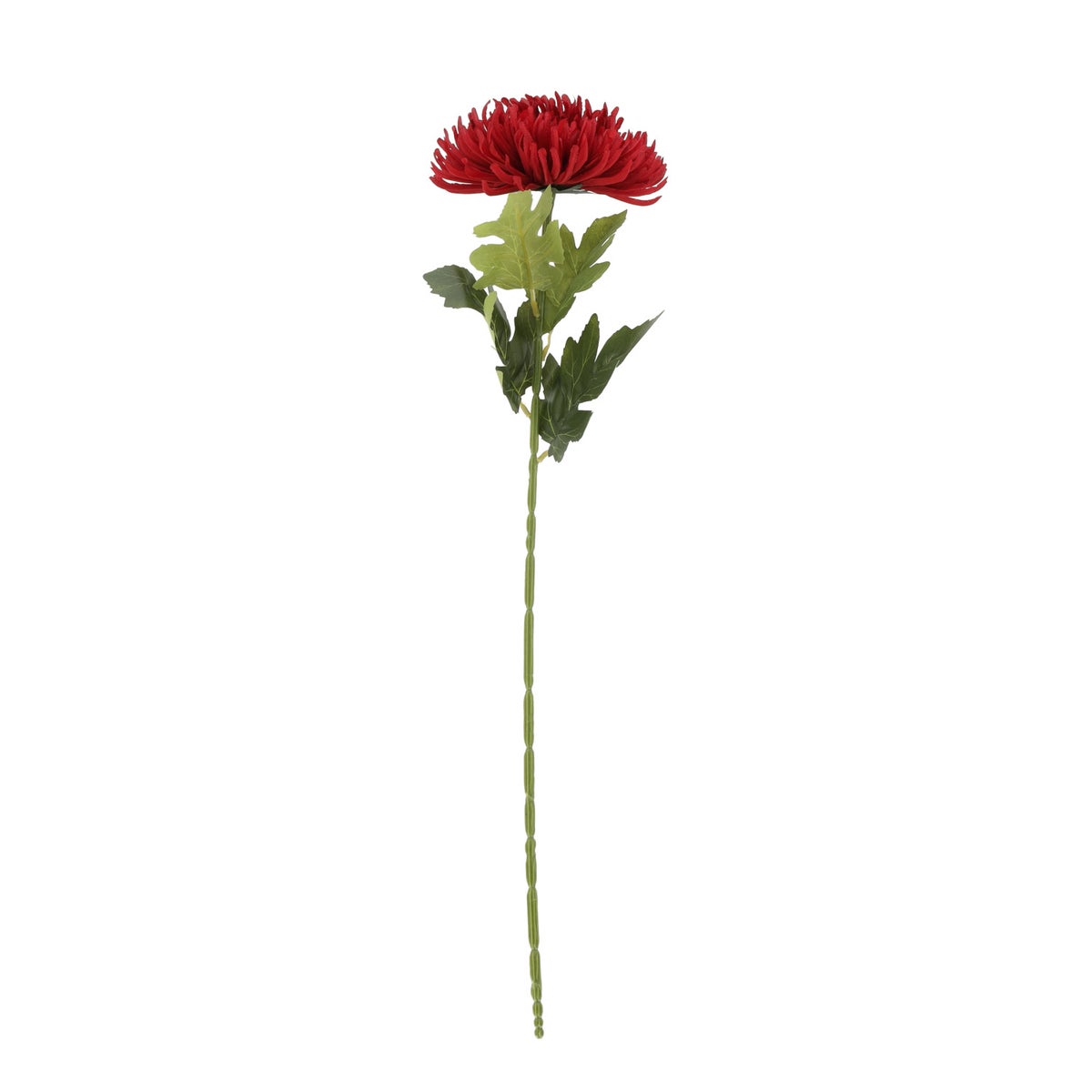 Bloem Spider mum rood 58 cm Bloem Spider mum rood 58 cm