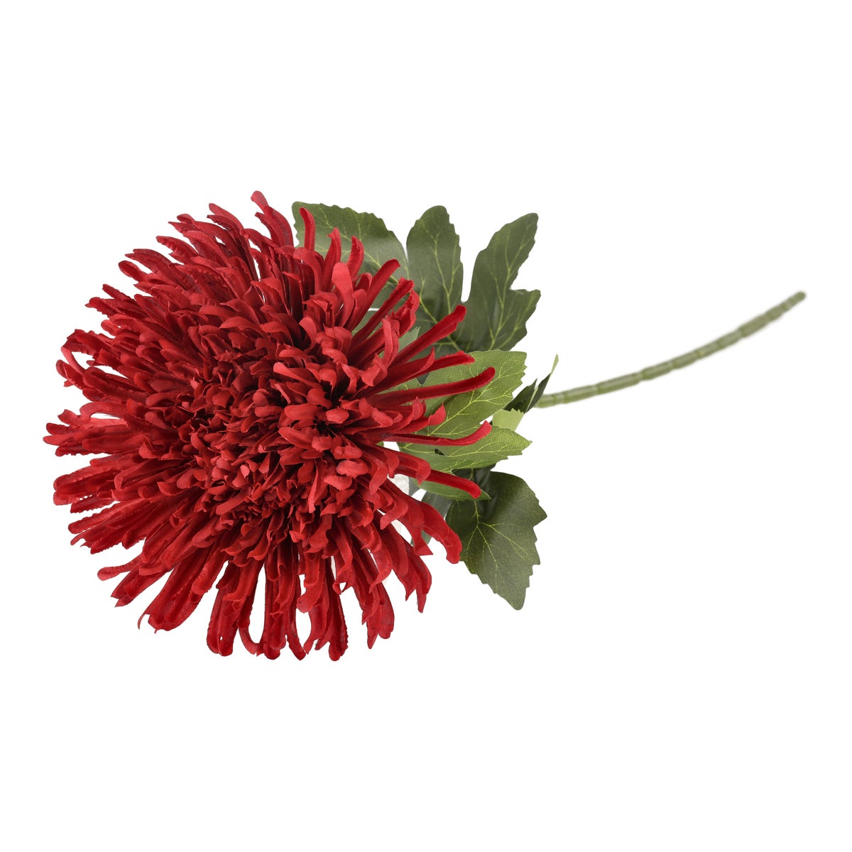 Bloem Spider mum rood 58 cm Bloem Spider mum rood 58 cm