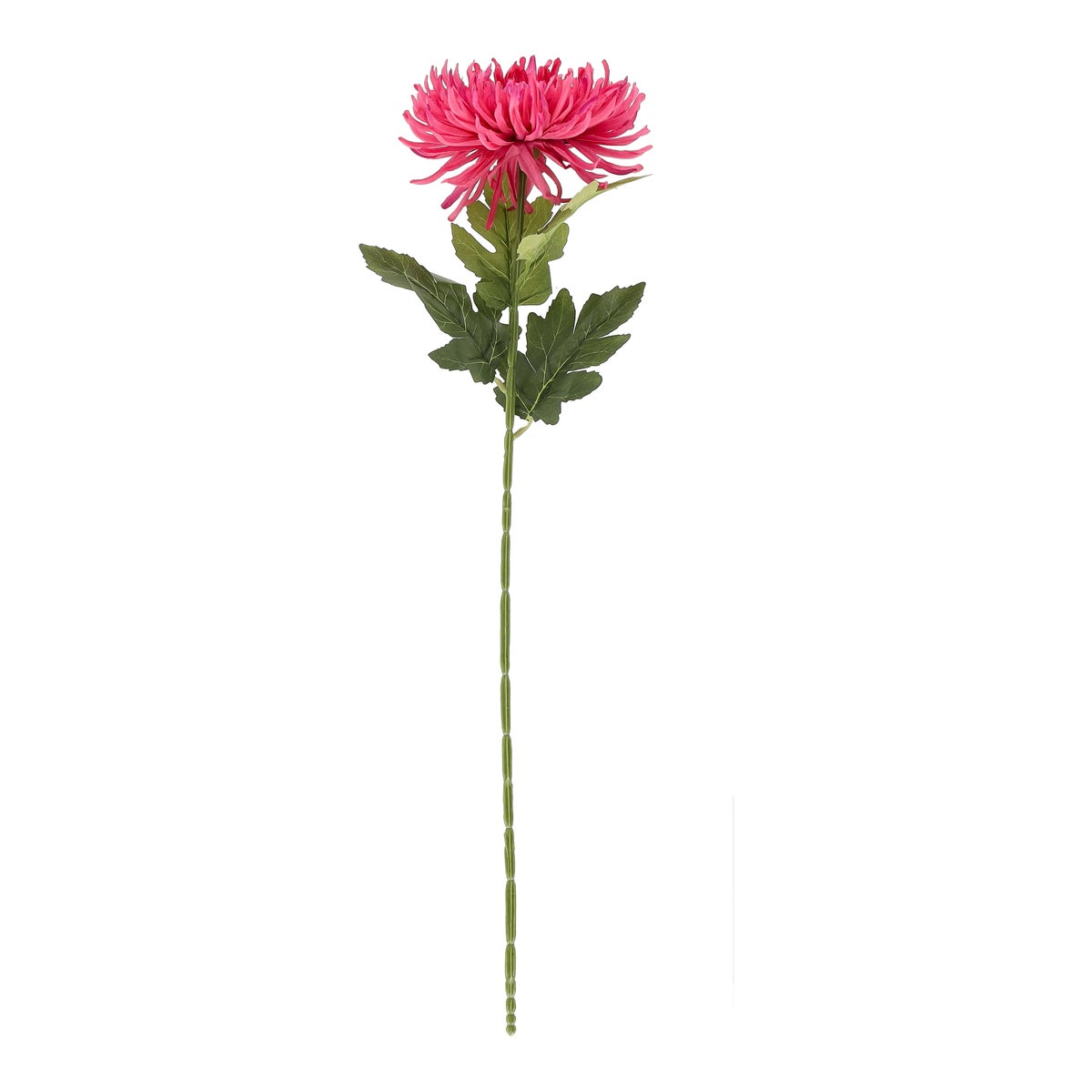 Bloem spider mum roze 58 cm Bloem spider mum roze 58 cm