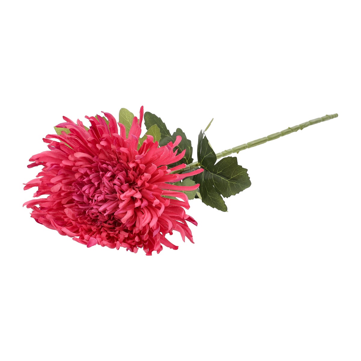 Bloem spider mum roze 58 cm Bloem spider mum roze 58 cm