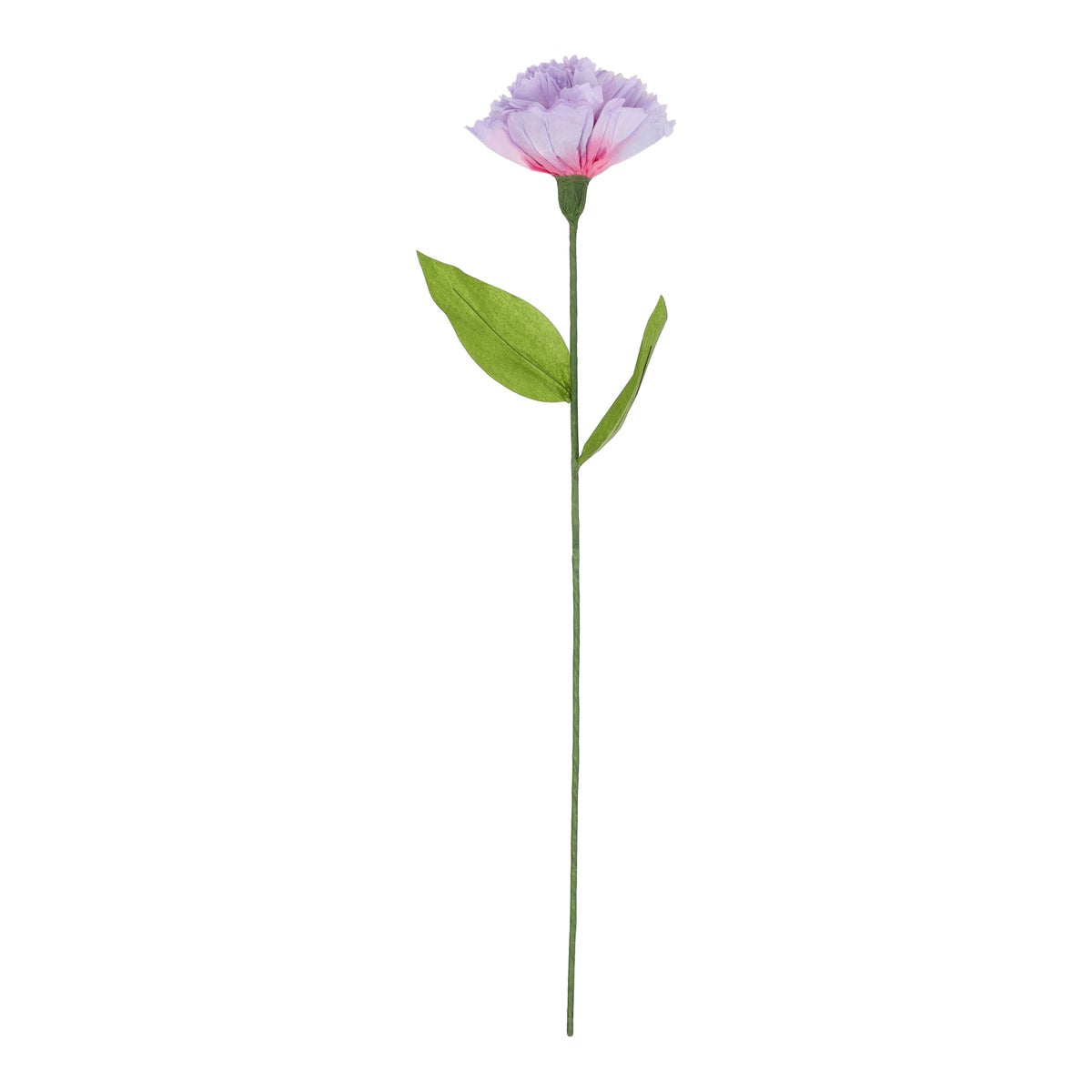 Bloem papier purple 18 x 18 x 78 cm Bloem papier purple 18 x 18 x 78 cm